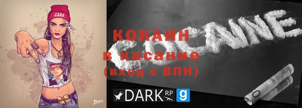 прущие грибы Кодинск