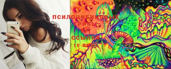 прущие грибы Кодинск