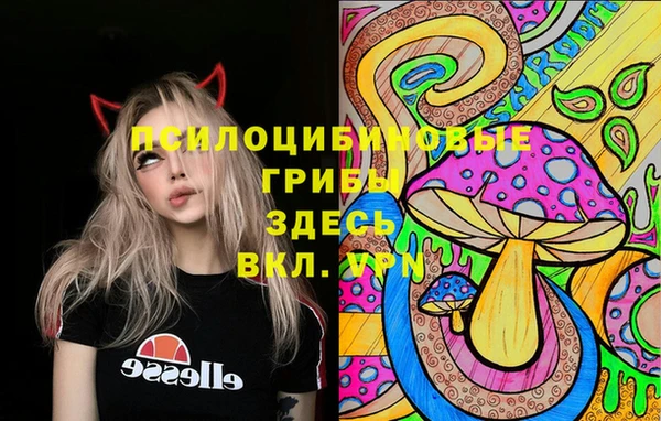 спиды Коряжма