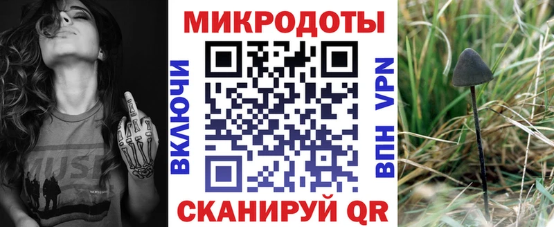 как найти наркотики  omg зеркало  Галлюциногенные грибы мицелий  Кяхта 